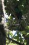 CostaRica06 - 028
